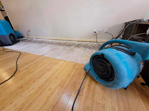 Professional Structural Drying technician working in Columbiaville, MI